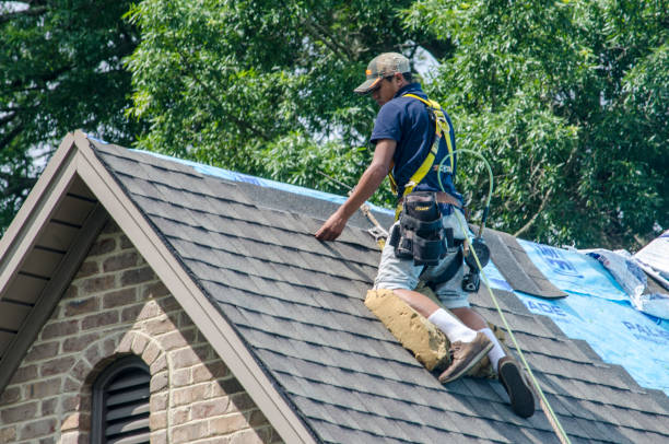 Best Roof Maintenance Services  in Lock Haven, PA